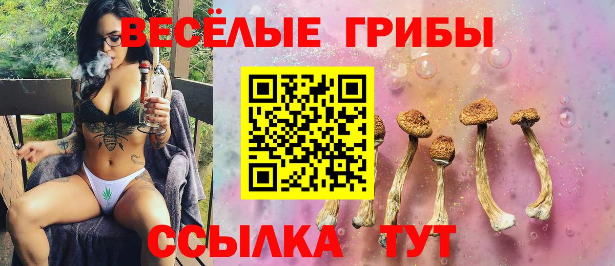 Карачаевск  Галлюциногенные грибы Psilocybine cubensis  Вход с VPN 
